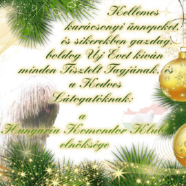 Év végi jókívánságok