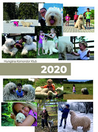 Komondoros falinaptárunk megrendelhető!