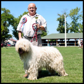 Búcsúzunk Ibos Zoltántól