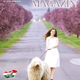 A 2022. évi Komondor Magazin előkészületei