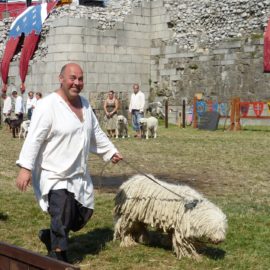 Búcsú Horváth Csabától