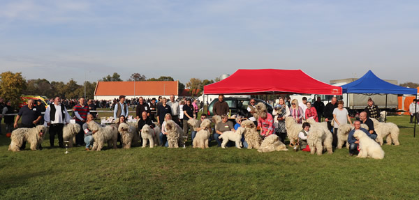 30. Nemzetközi Komondor Fesztivál