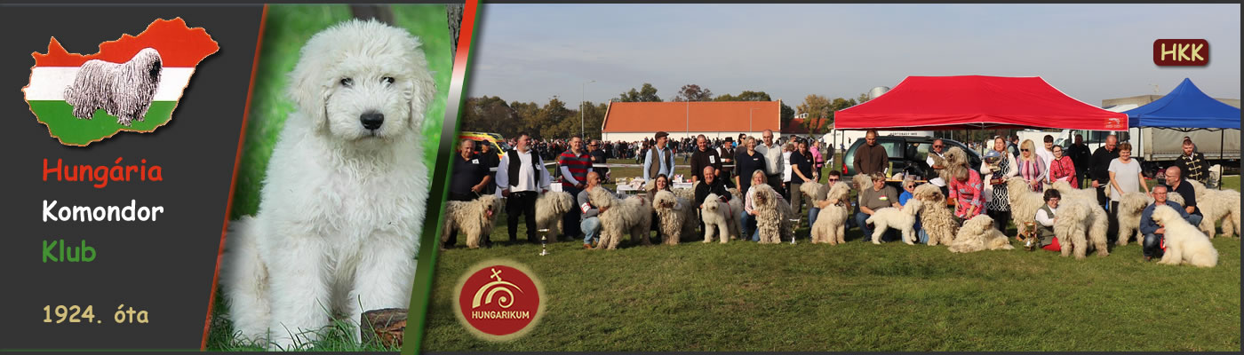 Hungária Komondor Klub