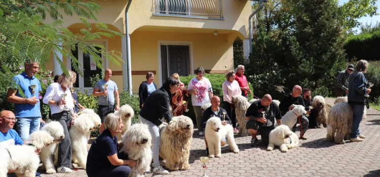 Kiállítási eredmények – Cserszegtomaj