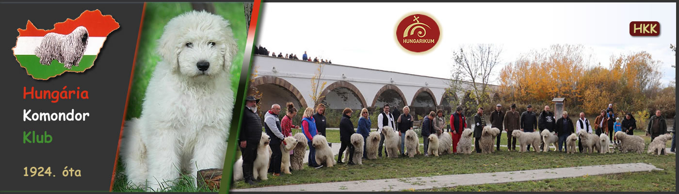 Hungária Komondor Klub